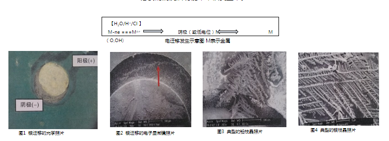 电迁移发生原因 电迁移发生原因